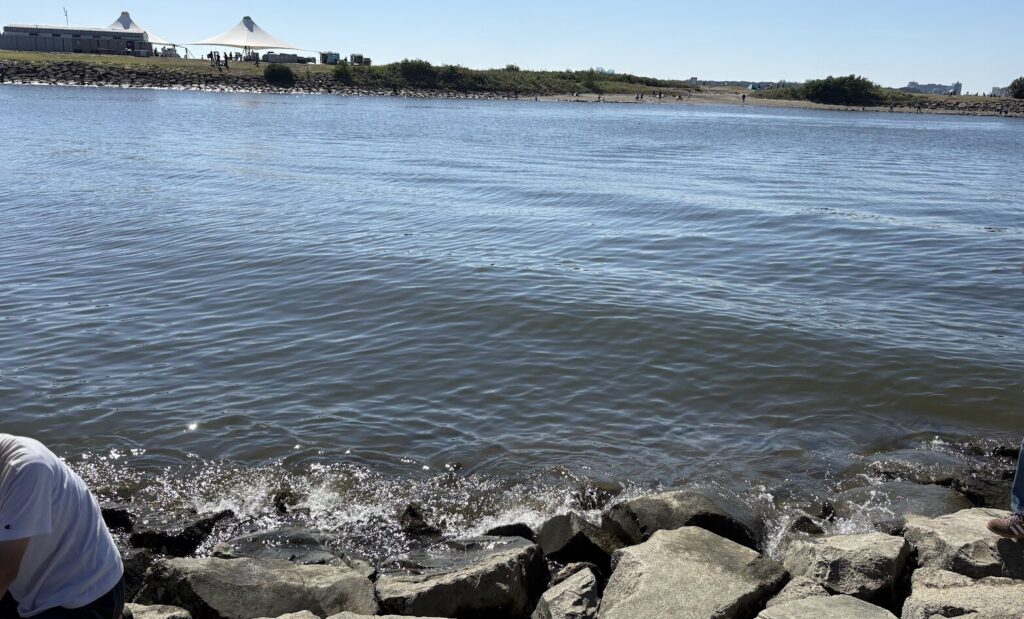 葛西臨海公園の岩場に波が来てる様子