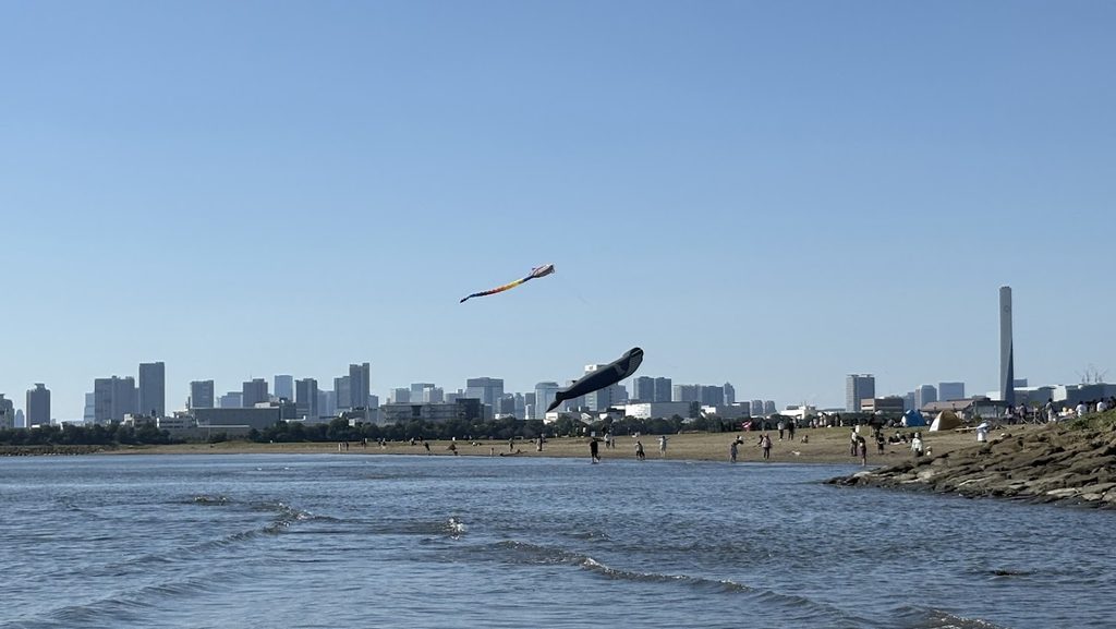 葛西海浜公園の西なぎさのくじらの凧の様子